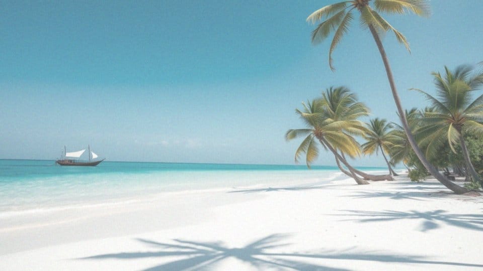 Dlaczego Zanzibar przyciąga turystów w grudniu?