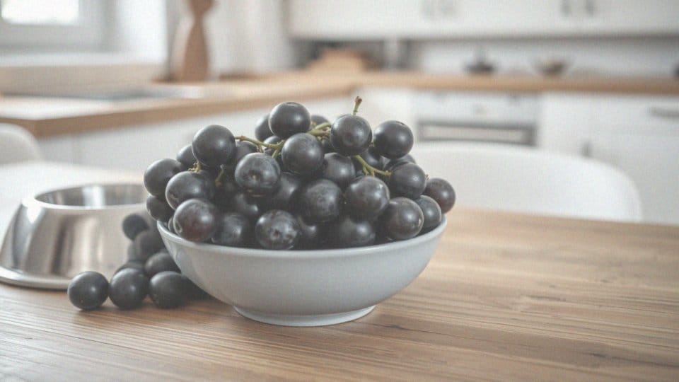 Czy brak objawów oznacza brak zatrucia winogronami?