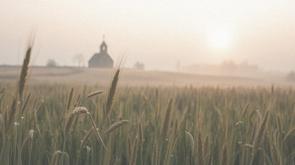 Jak Bóg zapowiedział Zbawiciela w kontekście grzechu Adama i Ewy?